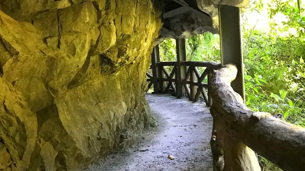 復興區景點:探索大自然的美麗瀑布與秘境