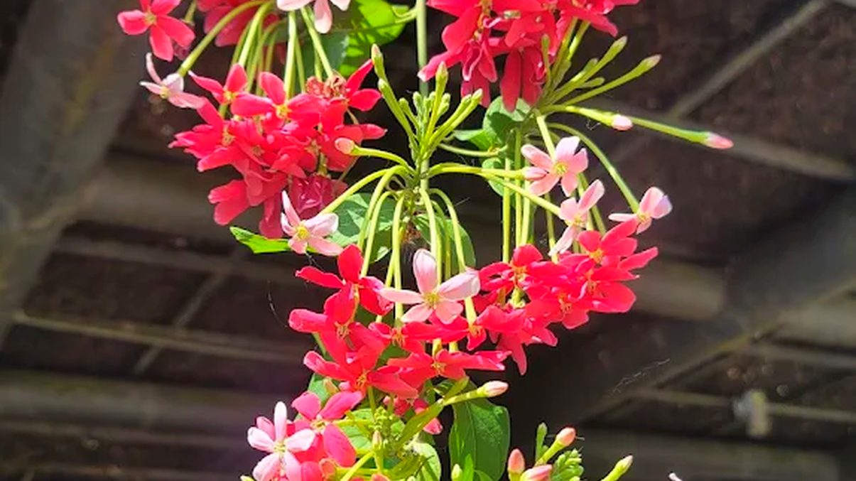 探索屏東：讓你不容錯過的旅遊景點推薦