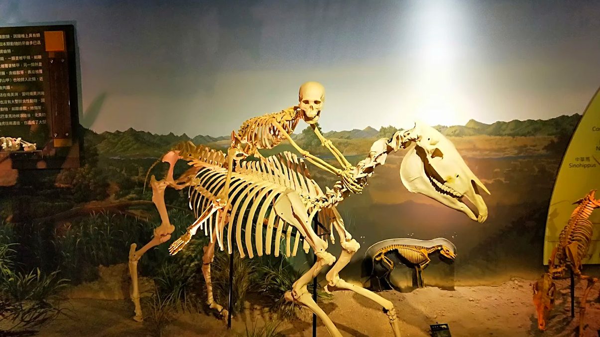 台南親子景點推薦｜與孩子一起探索樂園