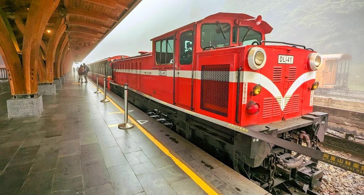 探索阿里山小火車的魅力｜經典森林鐵道、美食與必訪景點完整攻略！