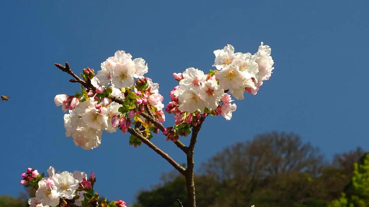 【台灣秘境推薦】小溪瀑布景點大公開！親子戲水、拍照打卡、登山健行一次滿足
