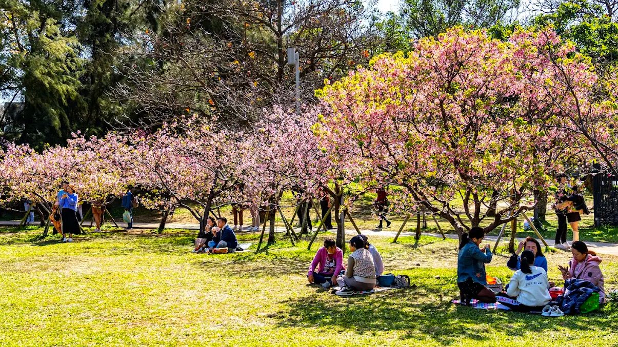 【2025新竹景點推薦】探索熱門地標，親子同遊、自然漫步一次滿足！