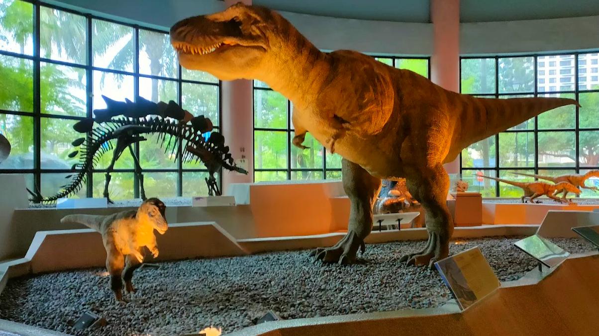 博物館日親子活動：探索國立台灣博物館的奇妙之旅