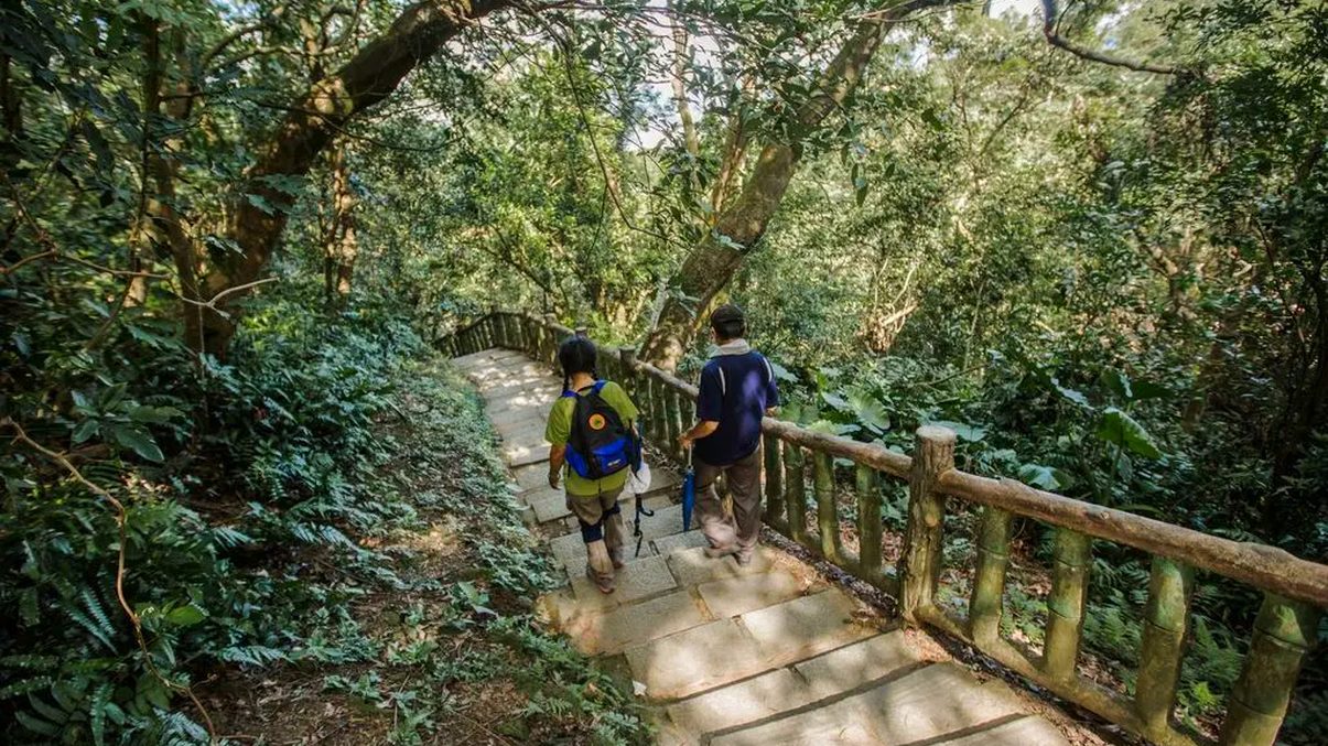 輕鬆健行：探索台灣美麗步道