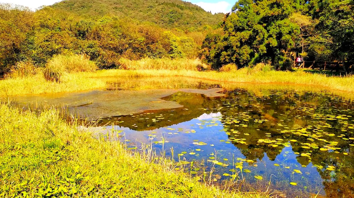 冷水坑旅遊指南：探索台灣隱藏的溫泉天堂