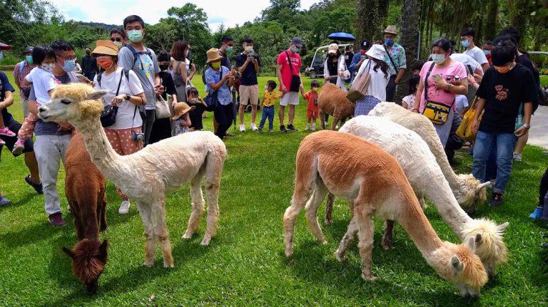 親子生態活動的最佳去處：探索生態園區