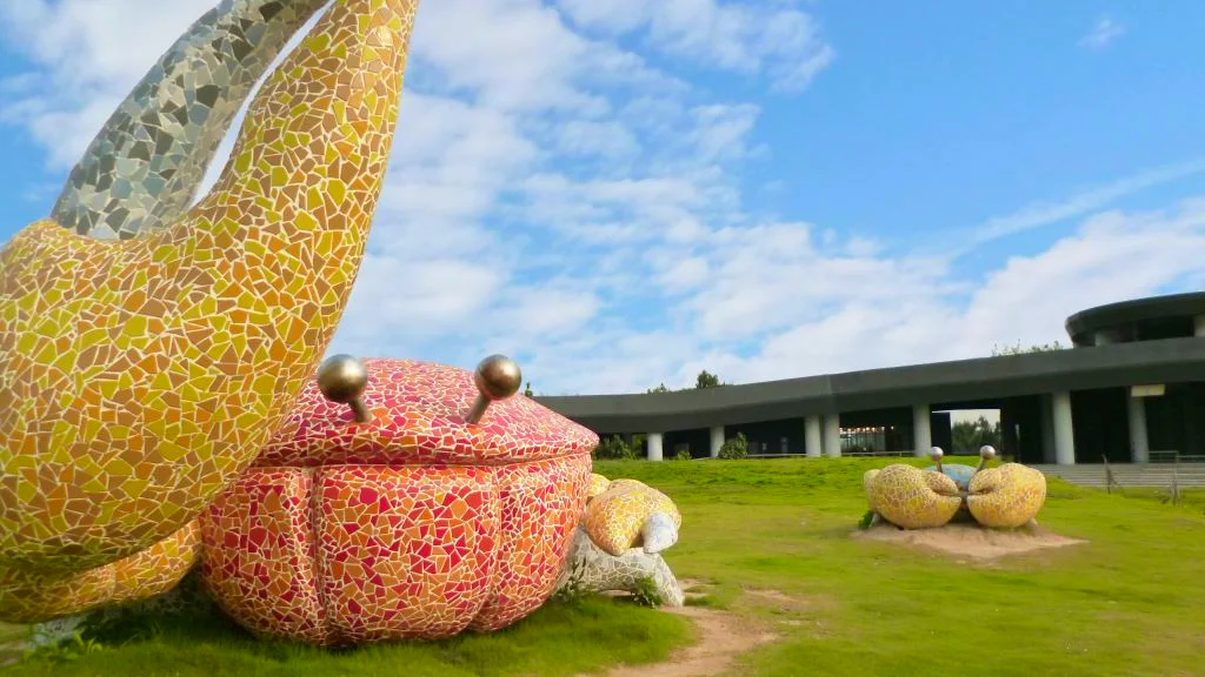 高美濕地旅遊完全指南：探索美麗自然與生態之旅