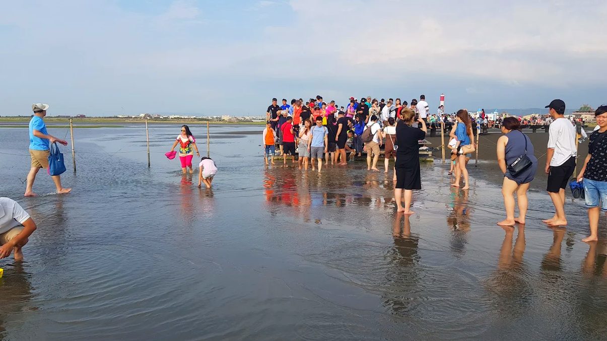 探索台灣的生物多樣性體驗：自然之美與教育意義