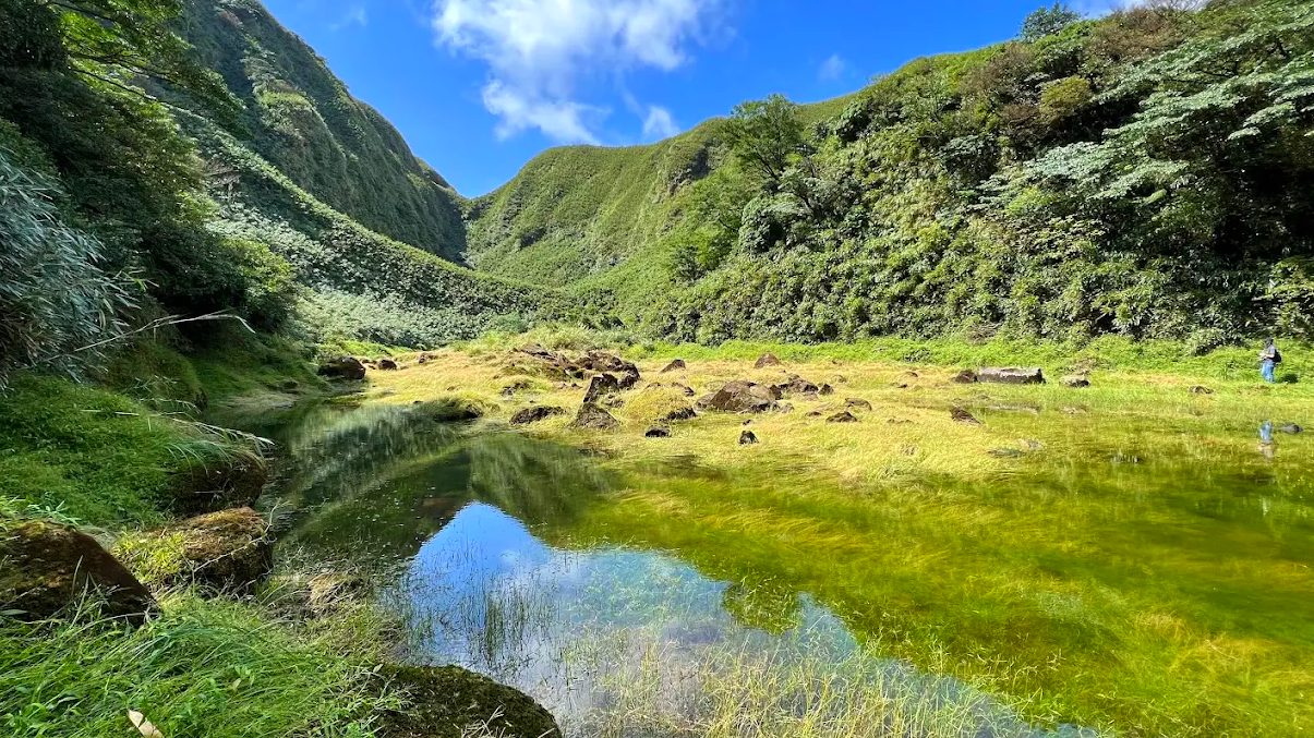【2025陽明山旅遊攻略】溫泉、賞花、健行一次搞定！陽明山國家公園完整指南