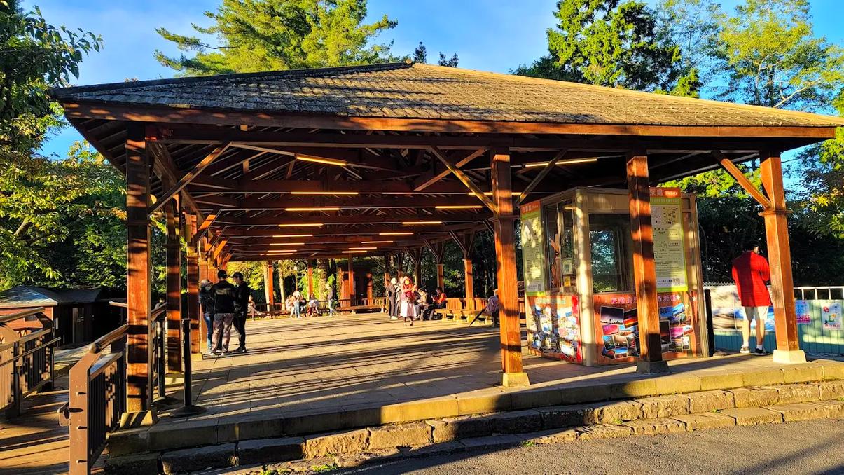 阿里山五大絕景推薦｜日出、雲海、拍照熱門觀景台一次看