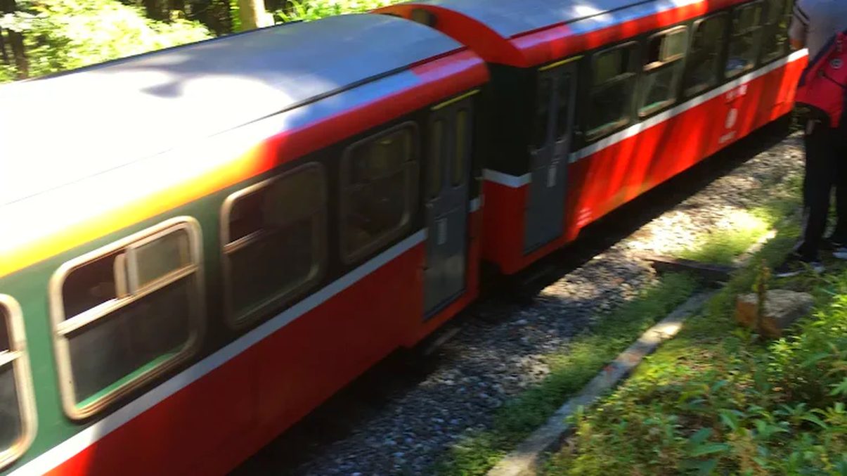 探索阿里山小火車：不可錯過的沿線景點