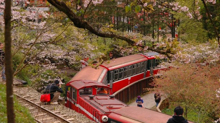 探索阿里山小火車：不可錯過的沿線景點