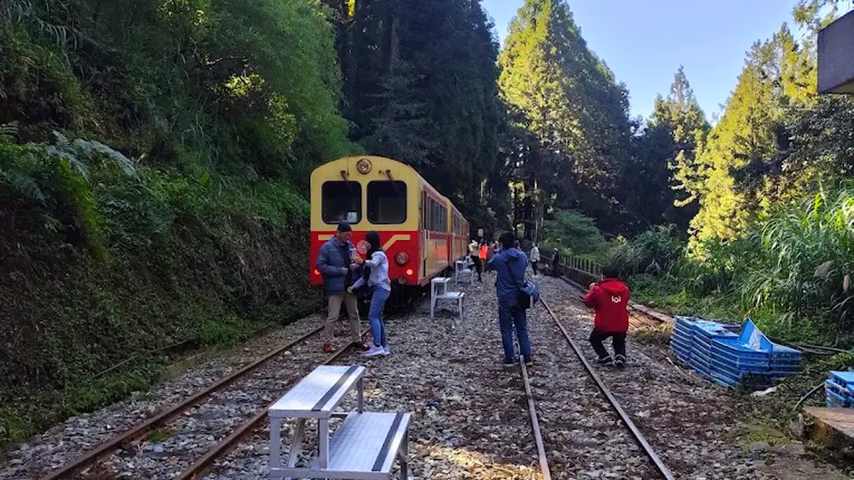 探索阿里山小火車：不可錯過的沿線景點