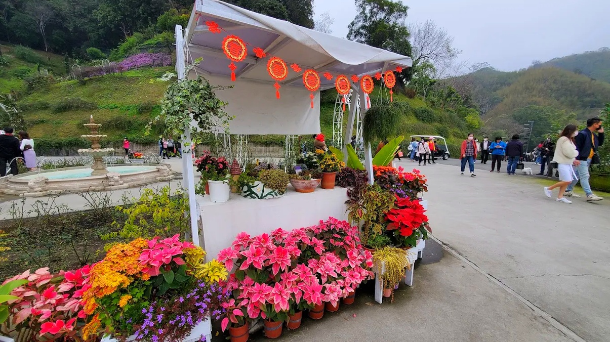 圖/雅聞七里香玫瑰森林 攝影/亭畇