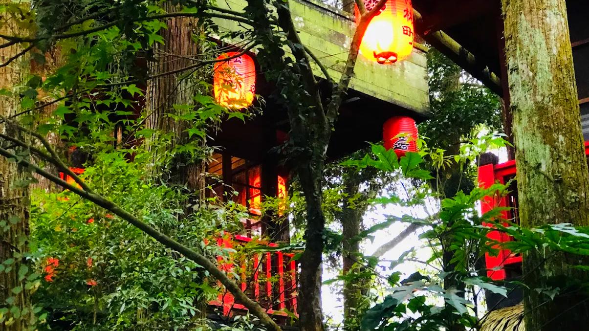 探索台中周邊的必訪景點：彩虹村、高美濕地、溪頭自然教育區、十分瀑布與陽明山國家公園