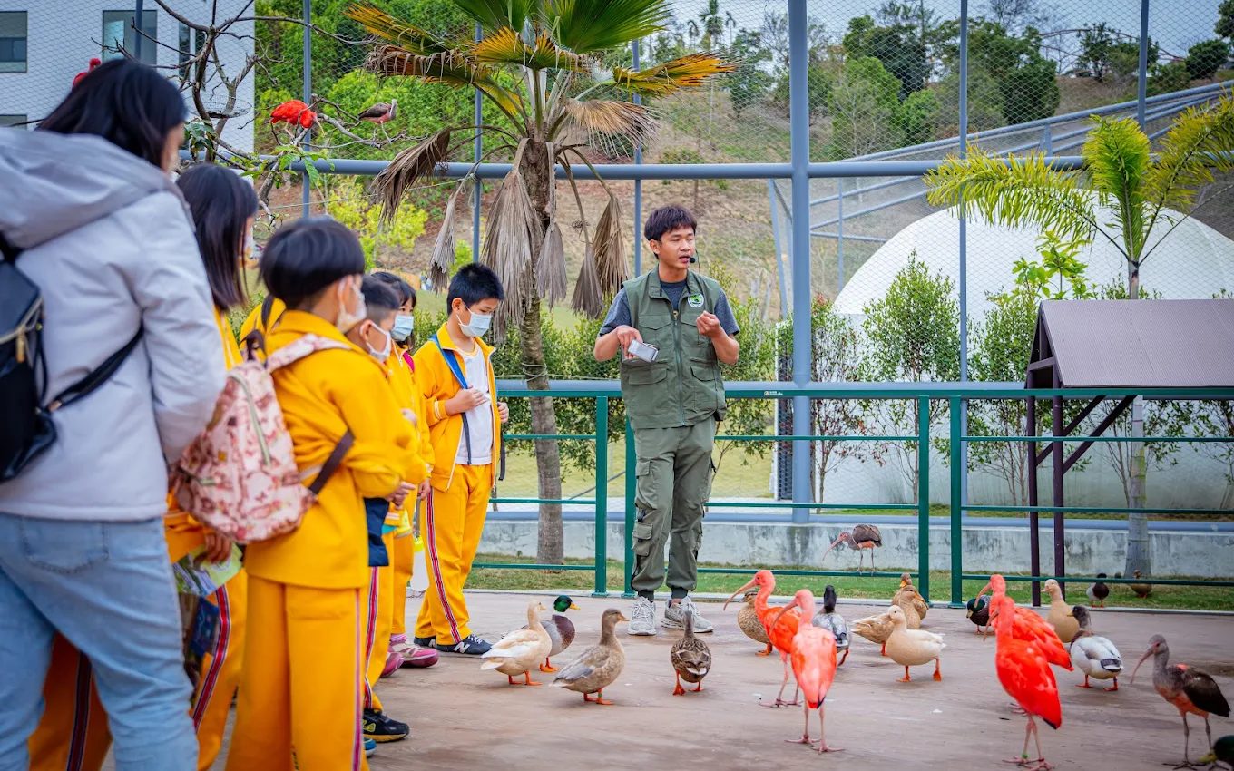 發現九九峰動物樂園：遊客必知的亮點
