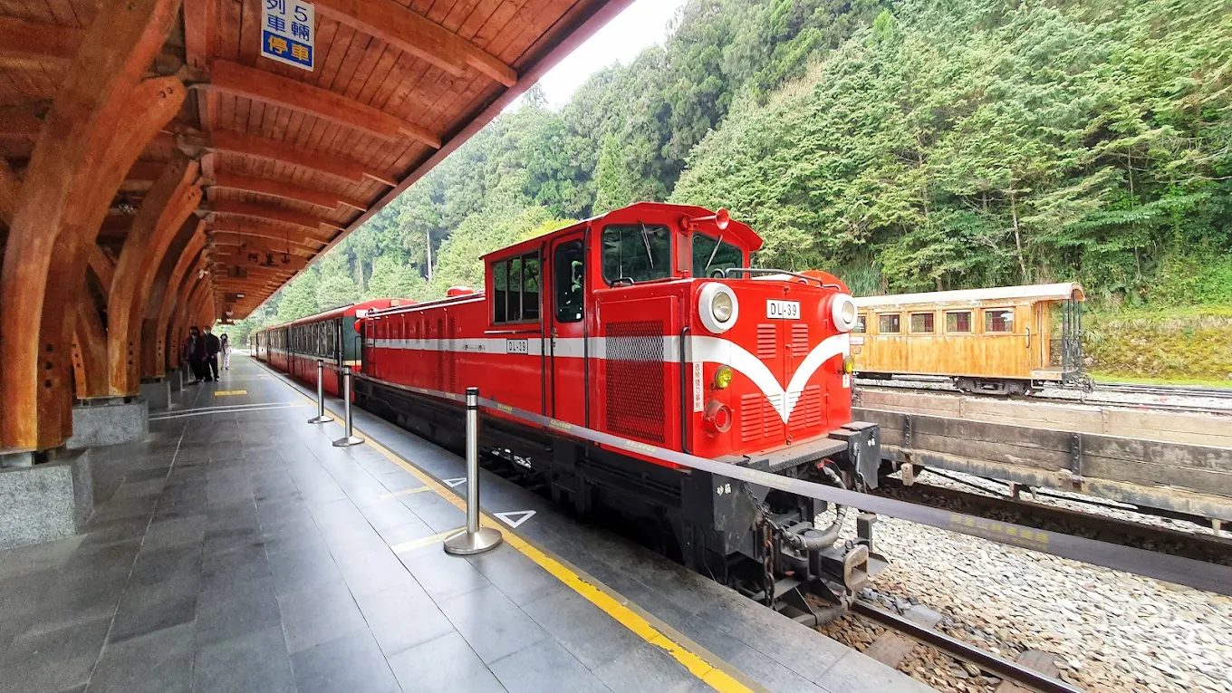 探索阿里山小火車的浪漫旅程｜體驗百年森林鐵路的魅力
