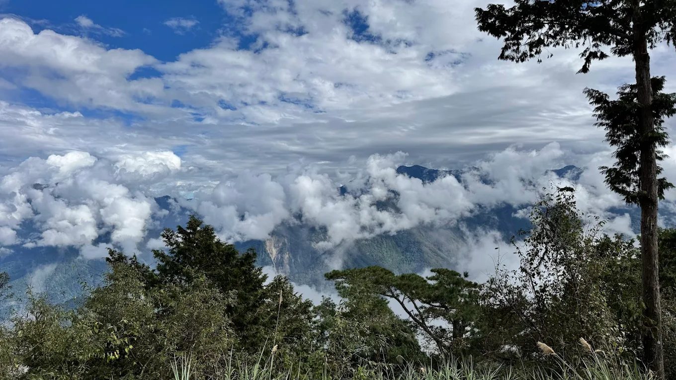 阿里山小火車:最佳旅遊體驗與全攻略