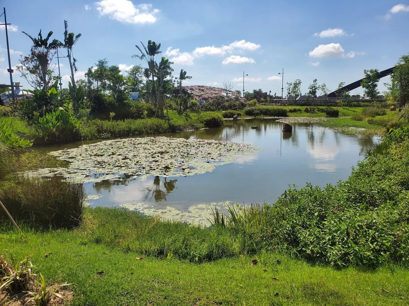 故宮南院特色景點導覽｜你絕對不能錯過的必訪地點