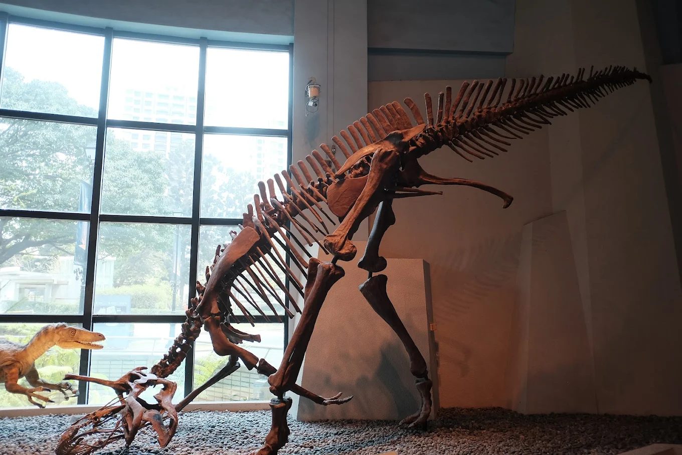 國立自然科學博物館地球環境廳壯闊景致