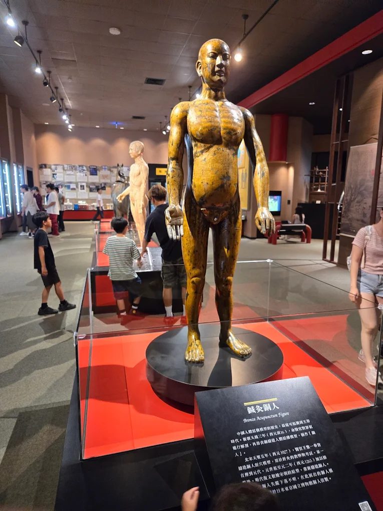 人類文化廳展示的人類文明演進史