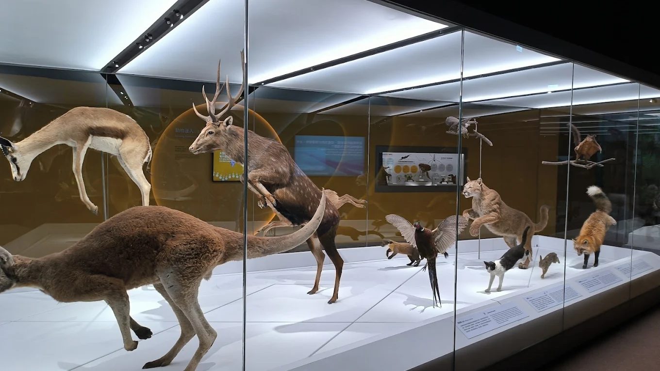 科學中心充滿趣味的科學互動裝置