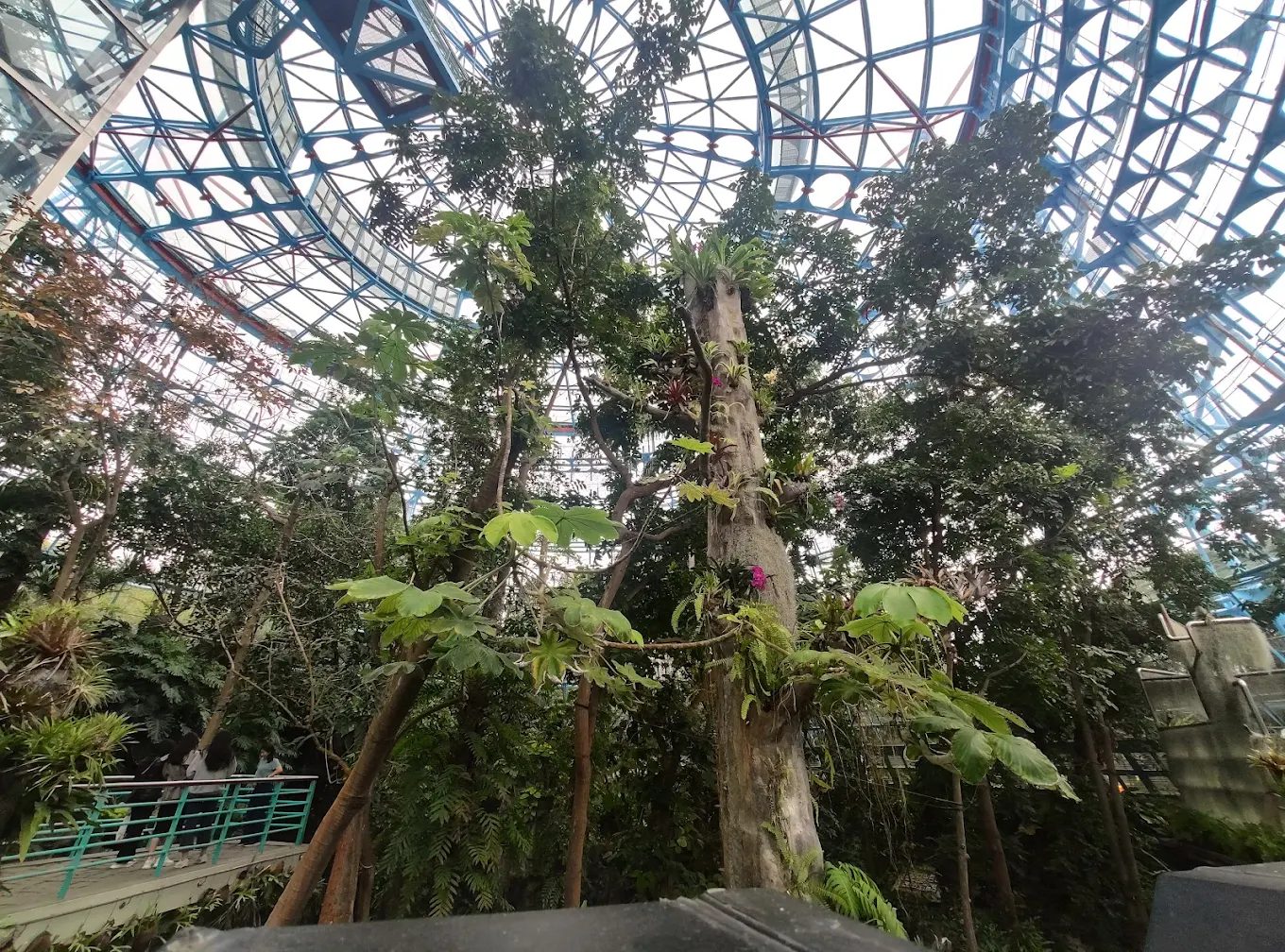 植物園那著名的玻璃巨塔與綠色生態