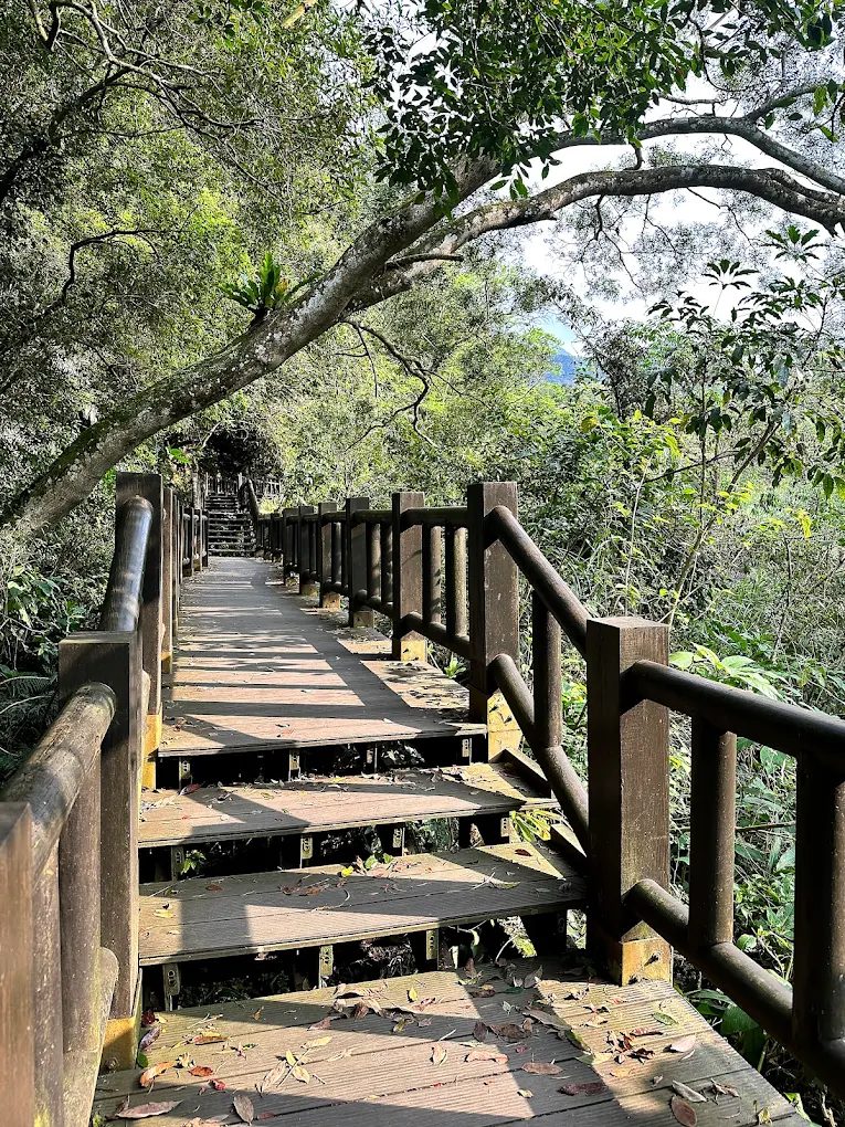 揭開苗栗南庄的隱藏魅力:最佳旅遊攻略