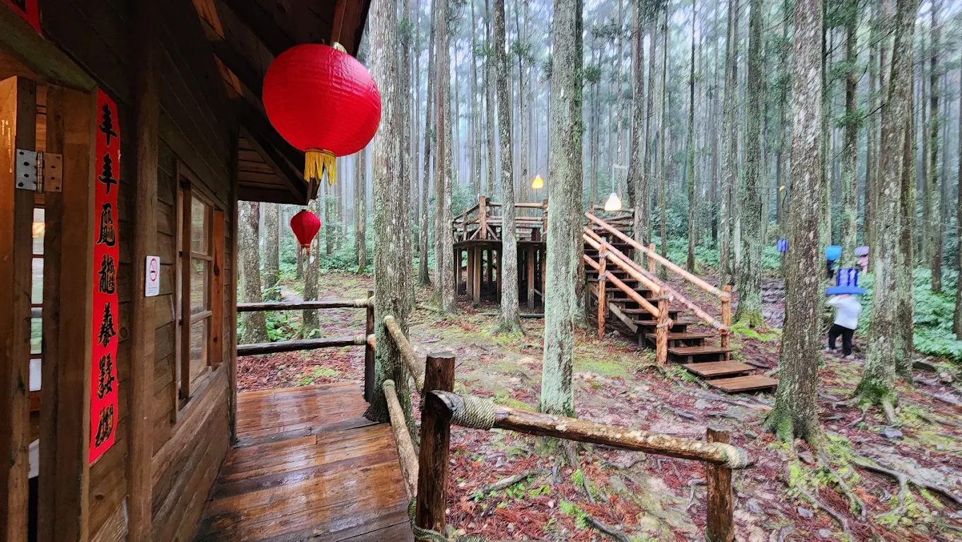 你知道新竹也有像輕井澤一樣的森林秘境嗎？馬武督探索森林，帶你走進綠意中的療癒旅程！