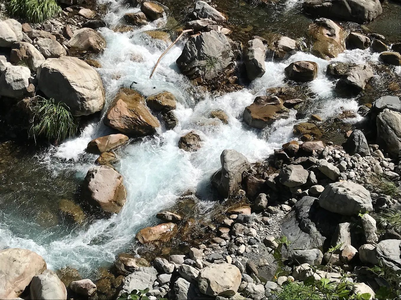 八仙山國家森林遊樂區的完美旅遊指南：探訪自然之美