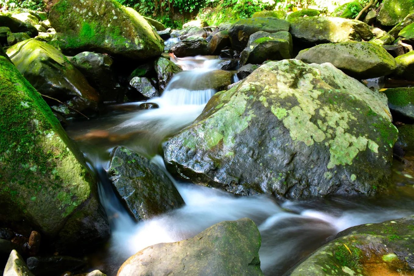 圖/荷蘭古道 攝影/闕沐寬