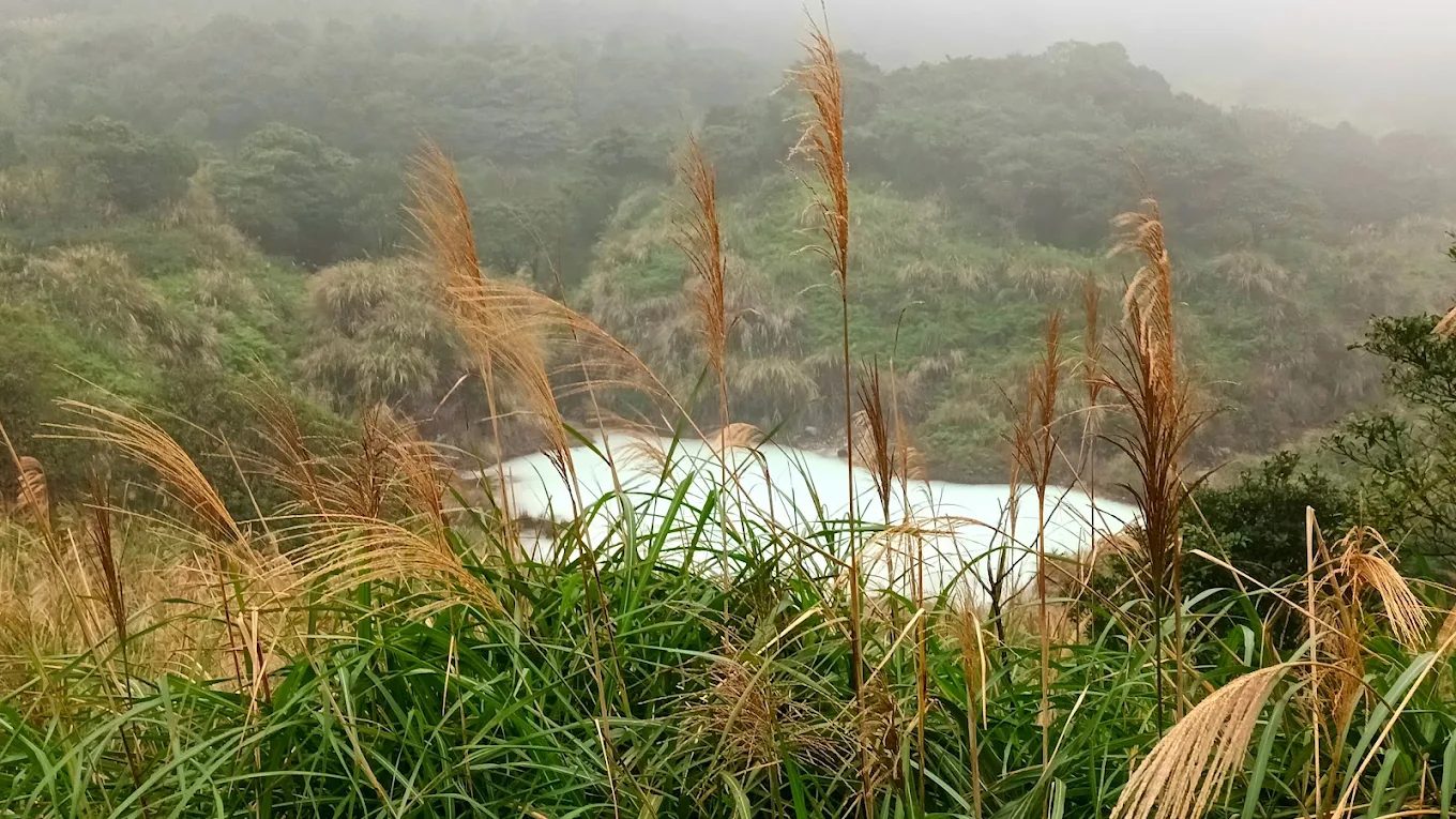 陽明山吊橋與觀景一日遊：菁山吊橋、草山觀瀑吊橋、牛奶湖必訪攻略！