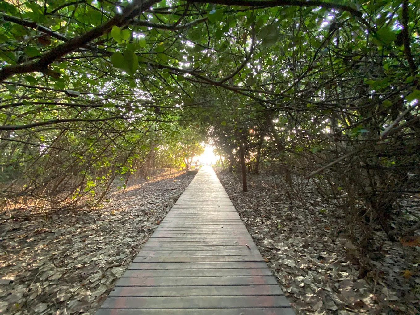 圖／漁光島的景點介紹  攝影／Eating Machine