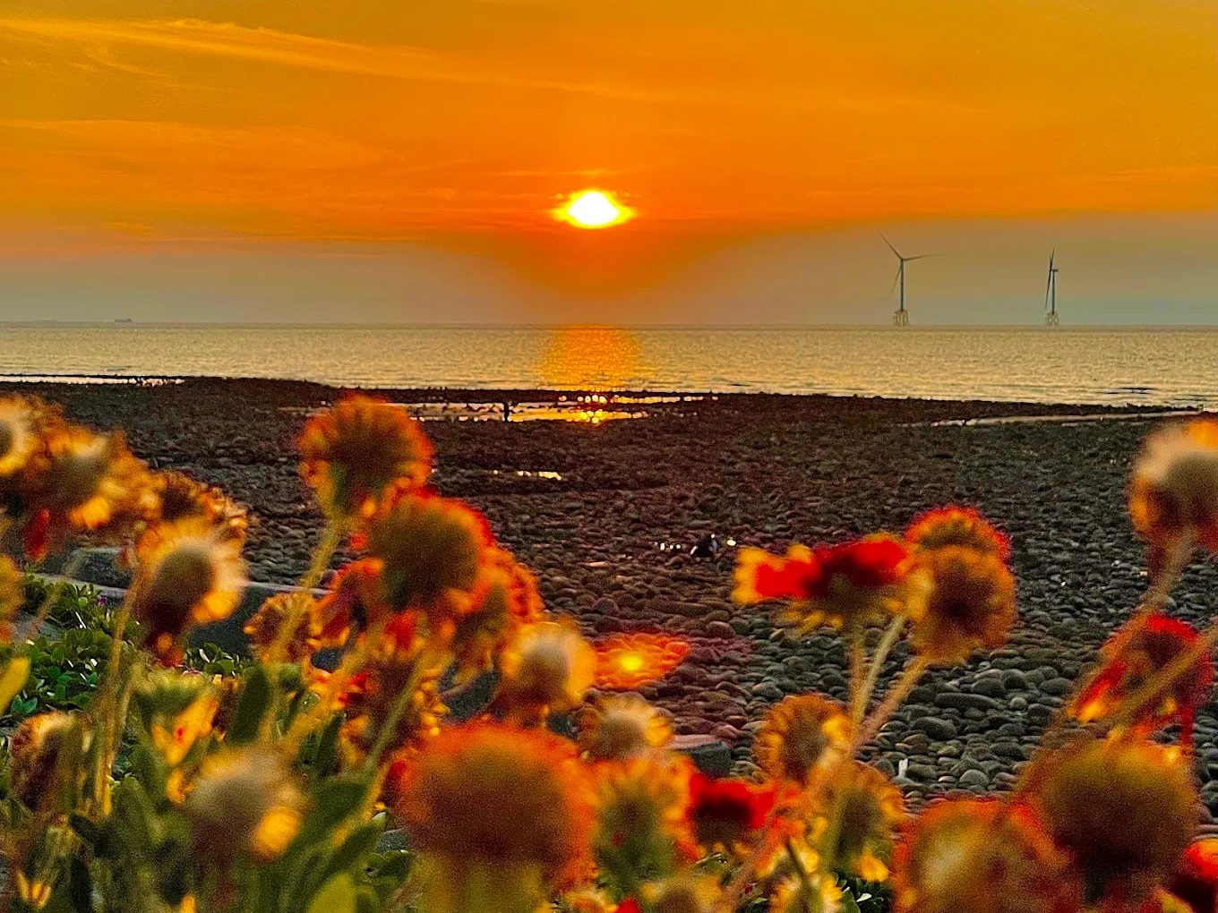 圖／海角樂園 攝影／ａｃ