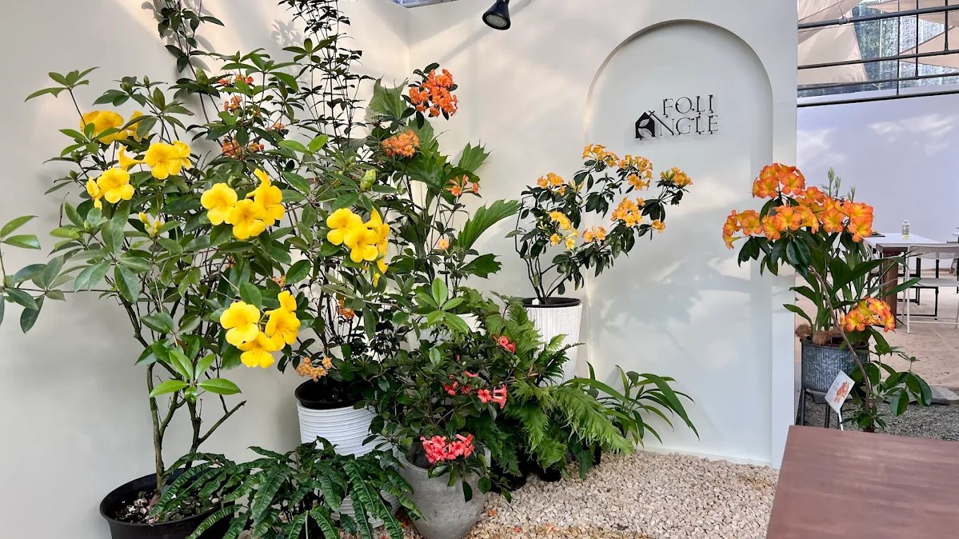 【埔里綠意療癒秘境】宅栽觀葉農場|人氣植物天堂、親子DIY體驗全攻略!