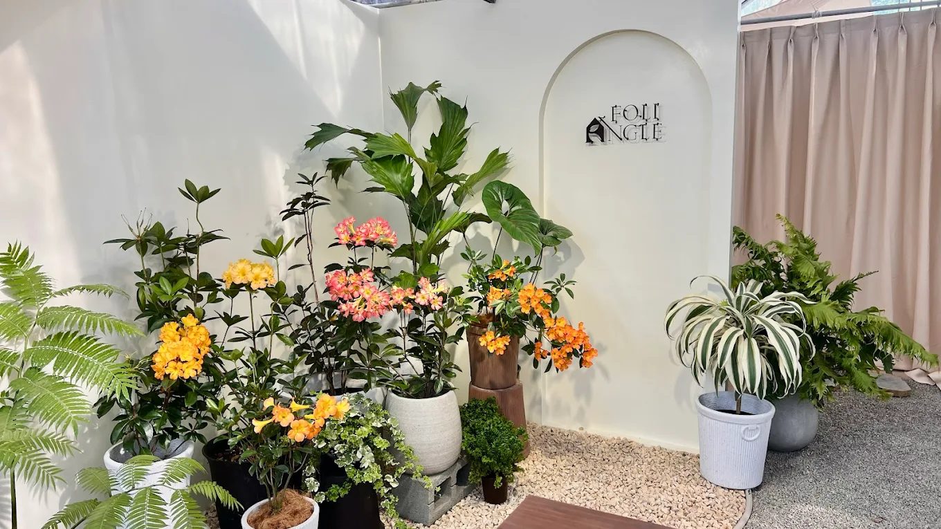 【埔里綠意療癒秘境】宅栽觀葉農場|人氣植物天堂、親子DIY體驗全攻略!