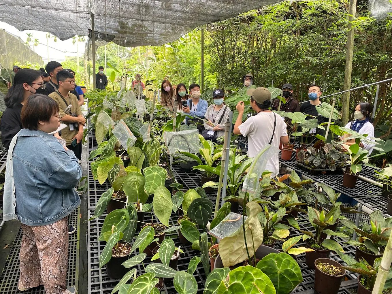 【埔里綠意療癒秘境】宅栽觀葉農場|人氣植物天堂、親子DIY體驗全攻略!