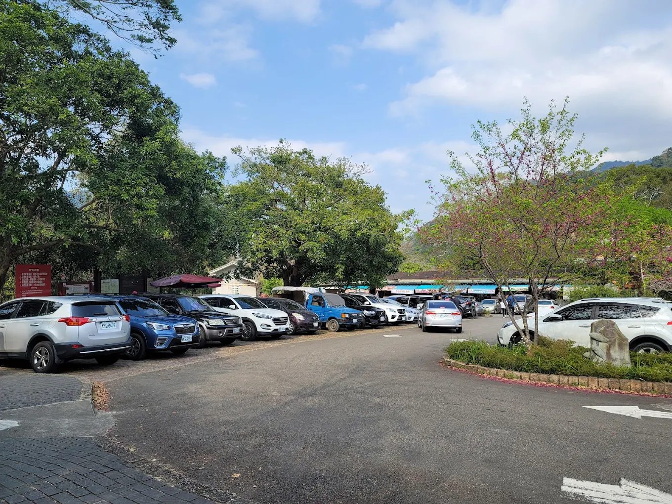 探索苗栗南庄【蓬萊溪護魚步道】｜生態健行 × 湧泉秘境 × 全齡親子一日遊指南