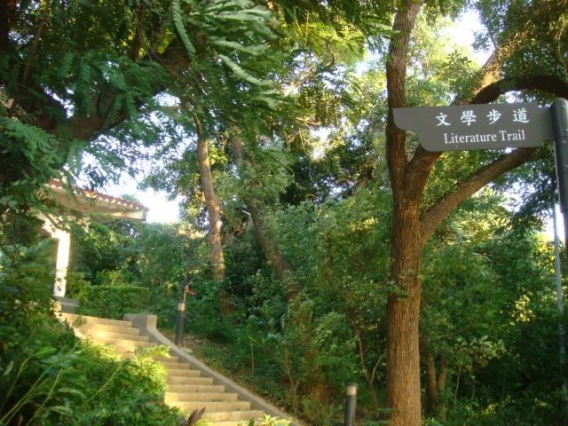 彰化八卦山旅遊全攻略｜朝聖大佛、漫步天空步道、探索佛教文化的心靈之旅