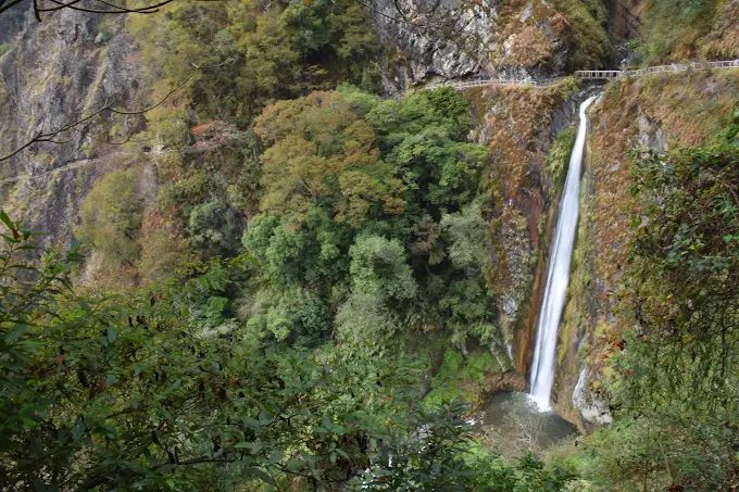 從東埔走向雲端：觀高坪帶你看見不同的玉山風景