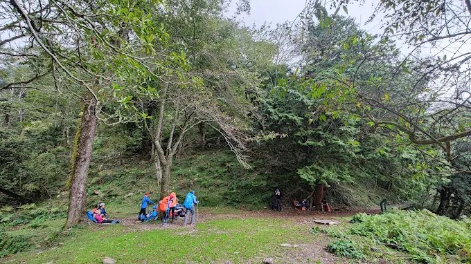 從東埔走向雲端：觀高坪帶你看見不同的玉山風景