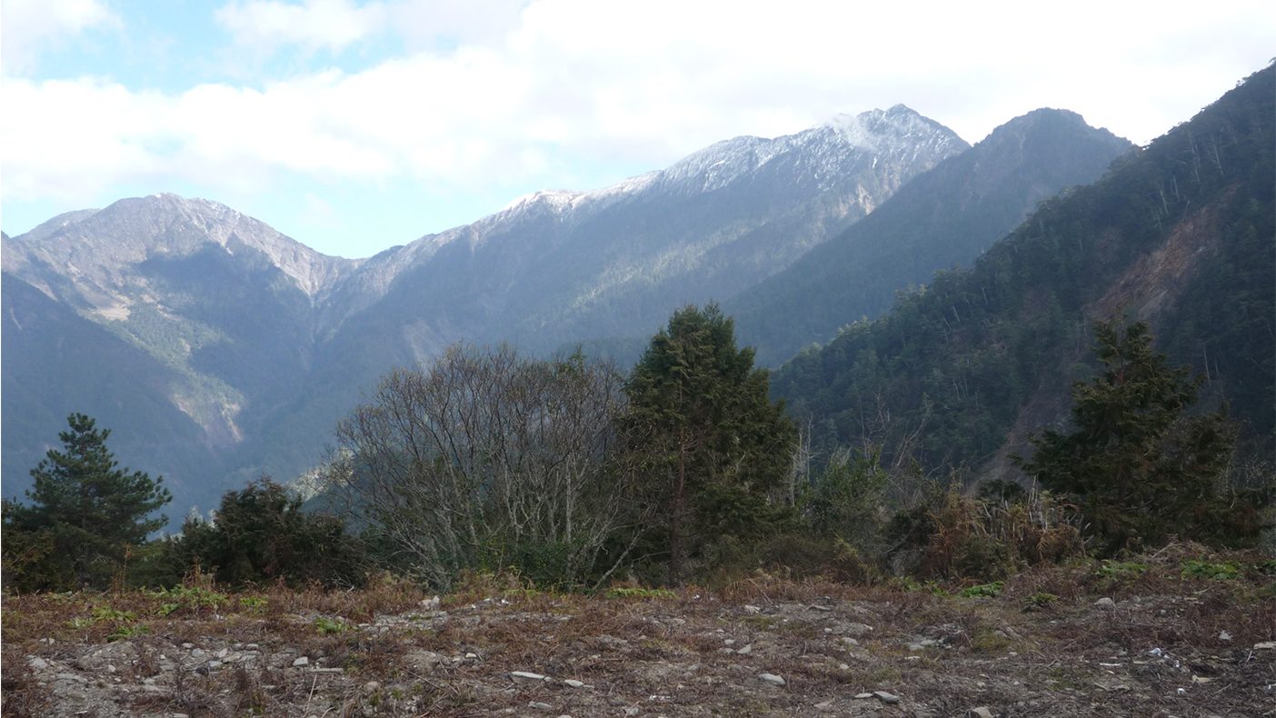 從東埔走向雲端：觀高坪帶你看見不同的玉山風景