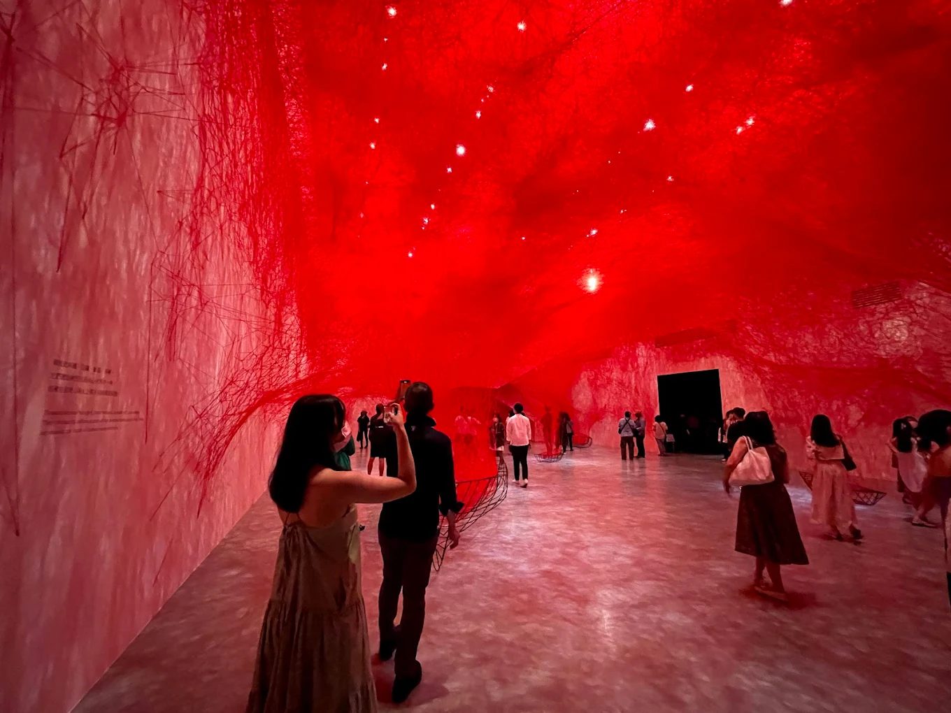 台北市立美術館及免費參觀日：快來體驗精彩藝術展