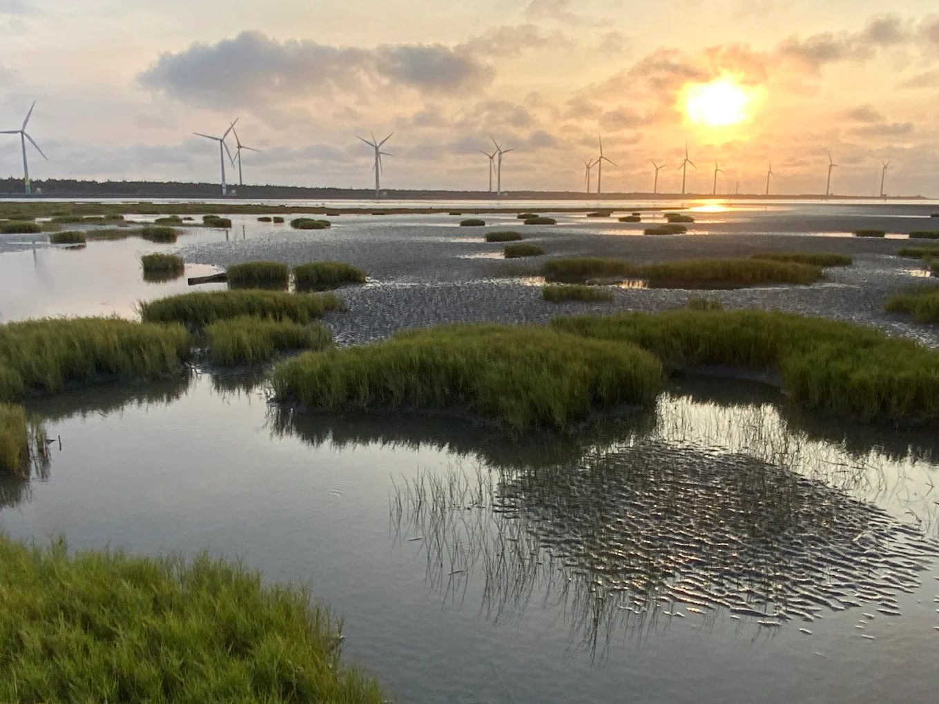 高美濕地木棧道：探索最美夕陽景點的全方位指南