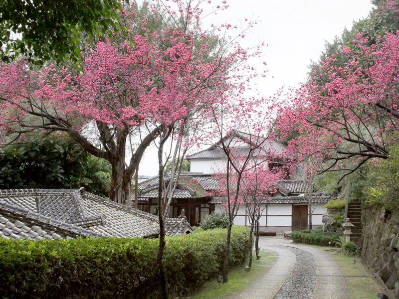 北投文物館5/18當日票價優惠活動｜文化與美食的完美融合