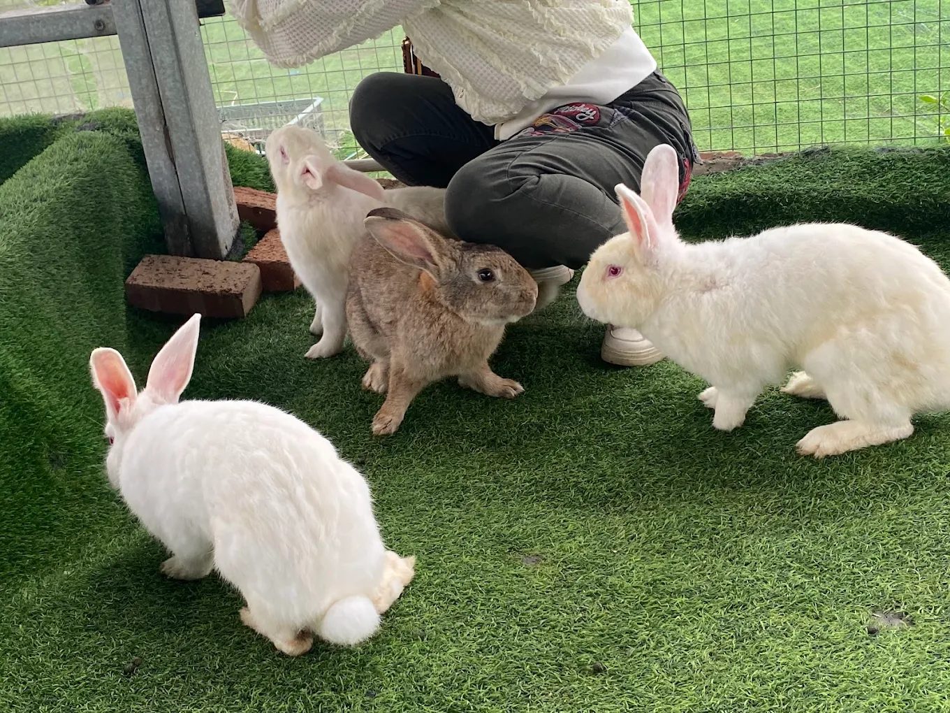 2025新北親子景點推薦｜家庭出遊輕鬆無負擔