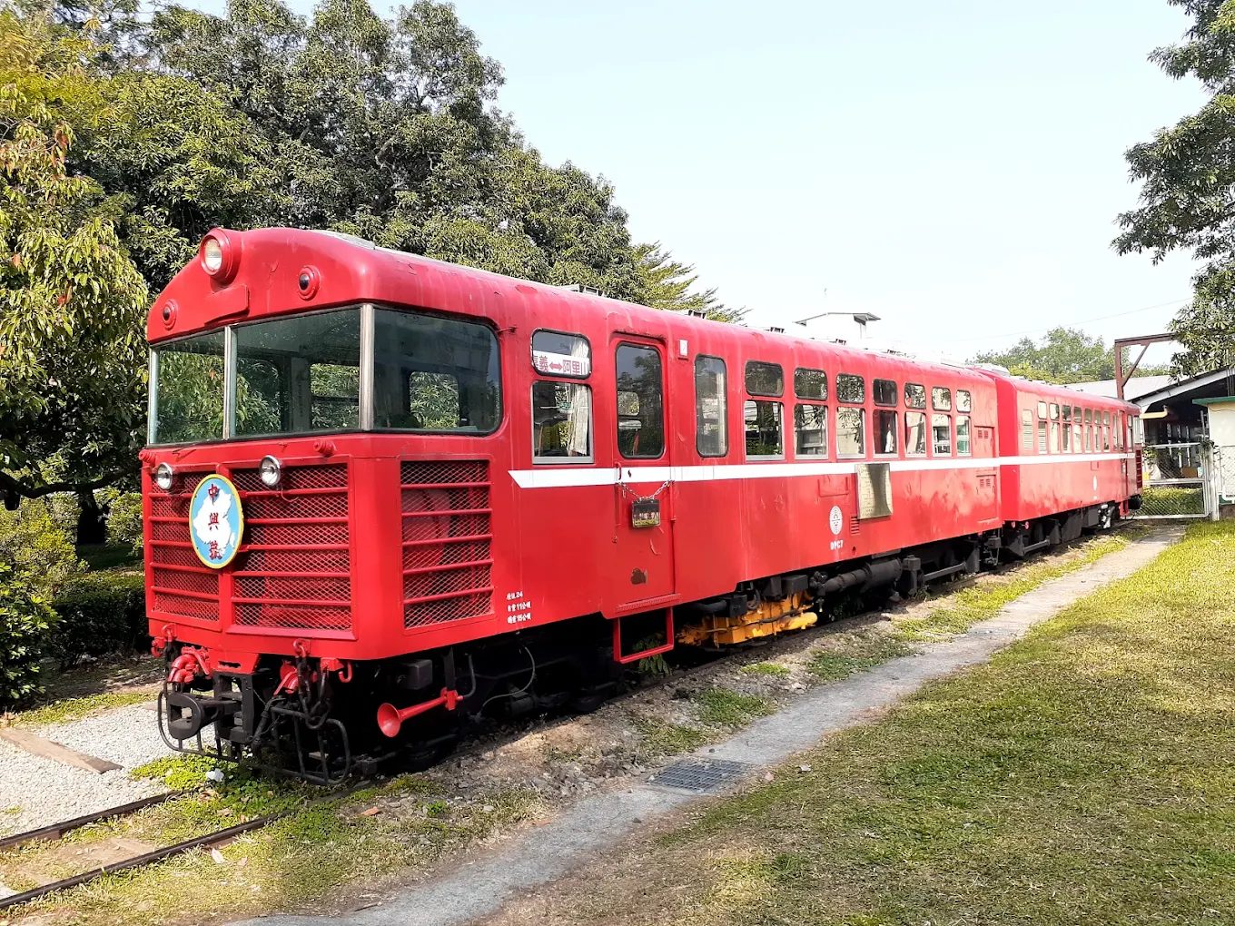 探索阿里山小火車：不可錯過的沿線景點