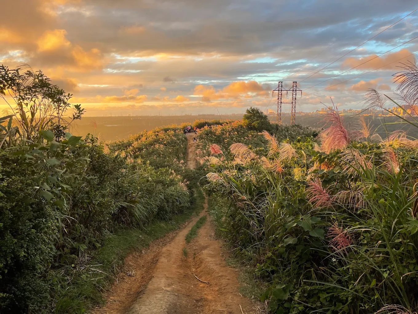 三角埔頂山景觀視野