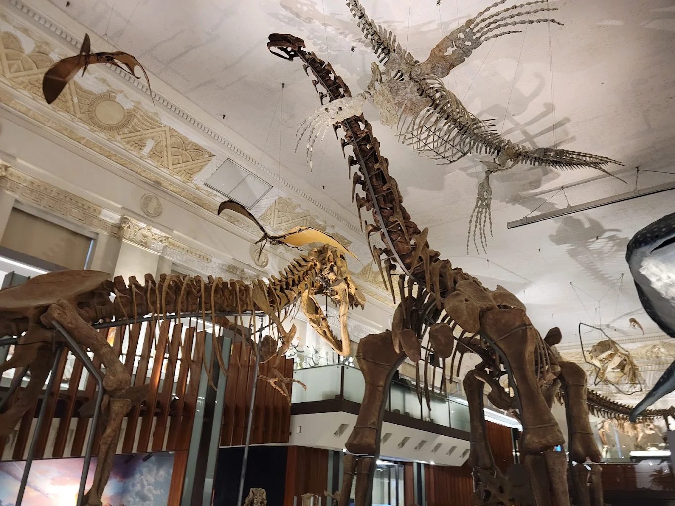 台灣博物館免費入館，一次探索精彩展覽