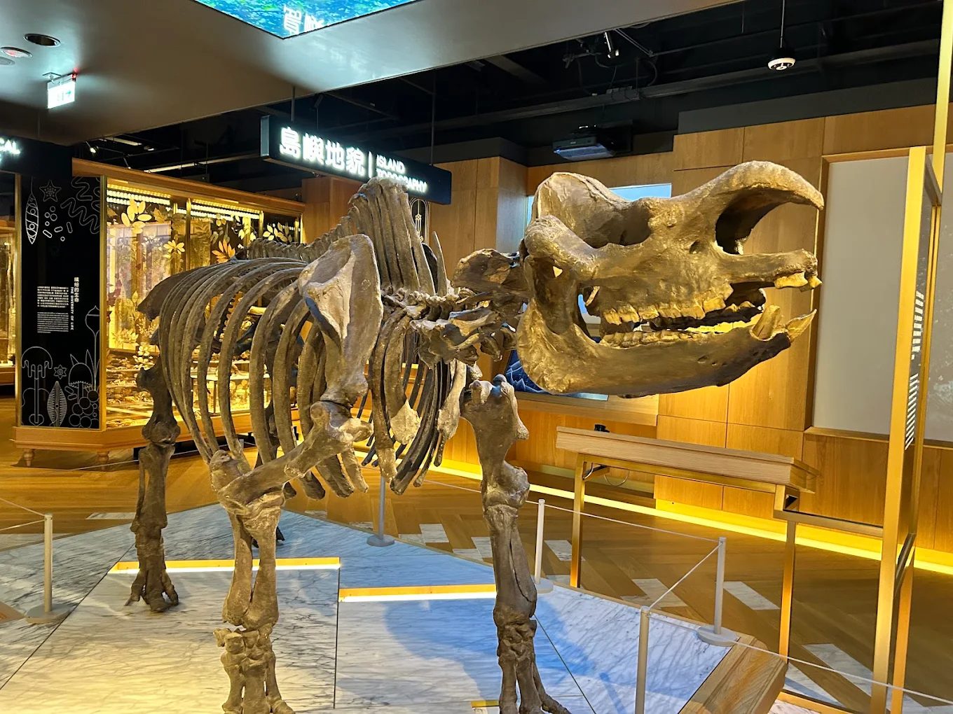 台灣博物館免費入館，一次探索精彩展覽